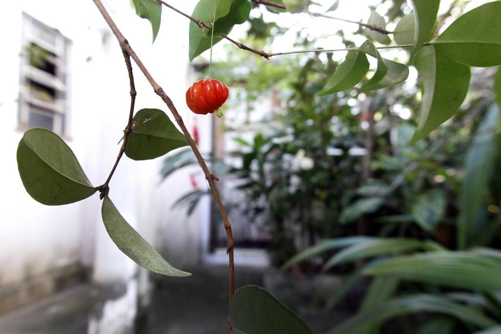 Casa Em Meio A Natureza - Ideal Para Casal Acomodação com café da manhã Rio de Janeiro Exterior foto